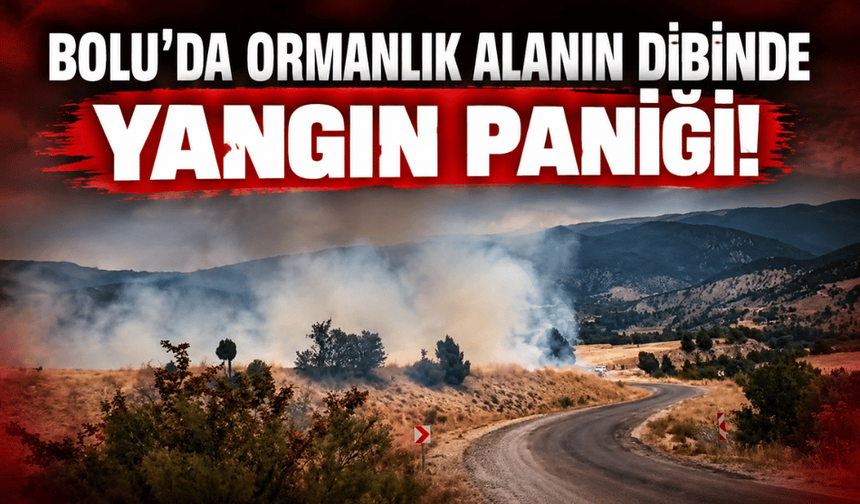Bolu’da arazi yangını ormanlık alana ulaşmadan söndürüldü