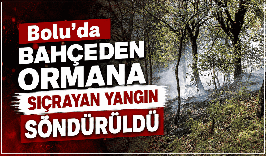 Bolu'da bahçeden ormana sıçrayan yangın söndürüldü