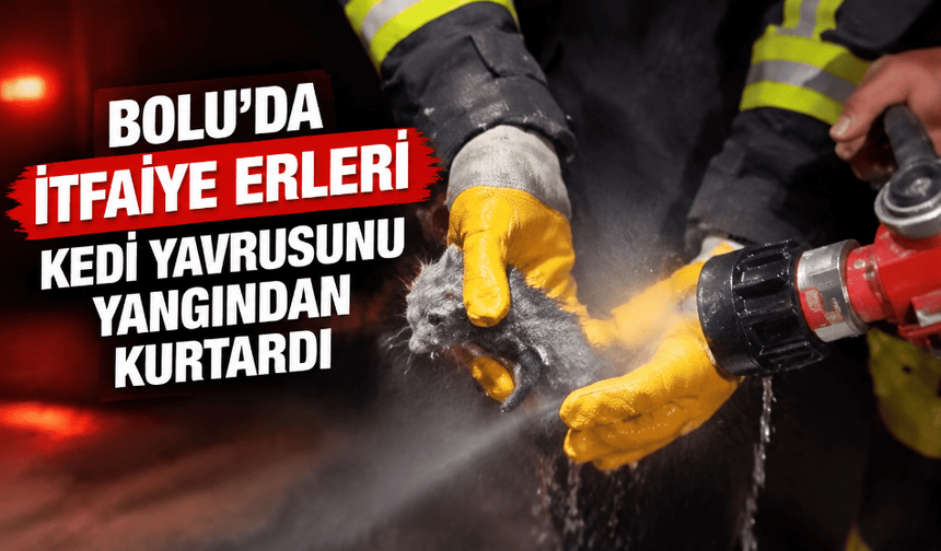Yangında mahsur kalan kedi yavrusu, itfaiye erlerinin şefkat eliyle hayata tutundu