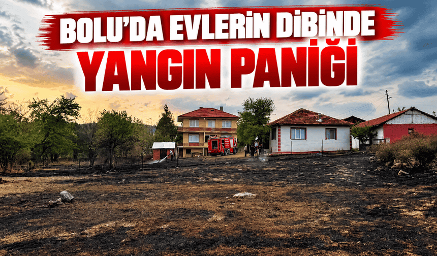 Yerleşim yerinin yakınında yangın çıktı!