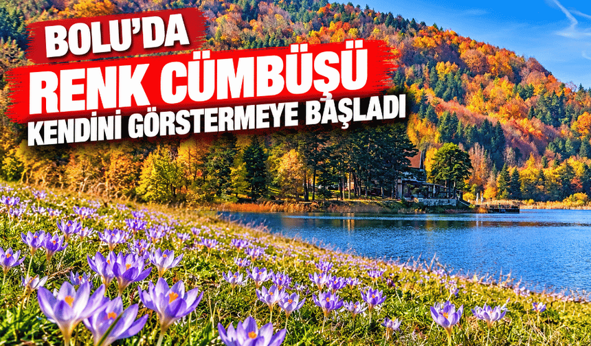 Abant'ta sonbahar güzelliği ilgi odağı oldu