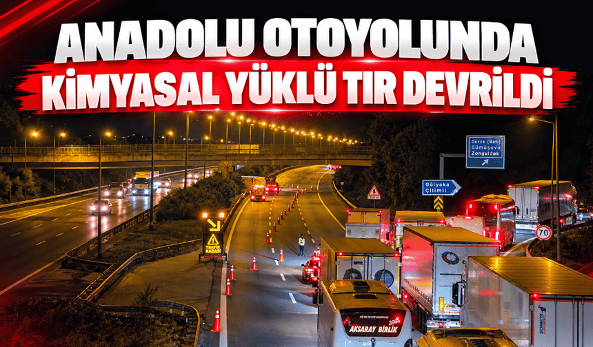 Anadolu Otoyolunda kimyasal yüklü tır devrildi