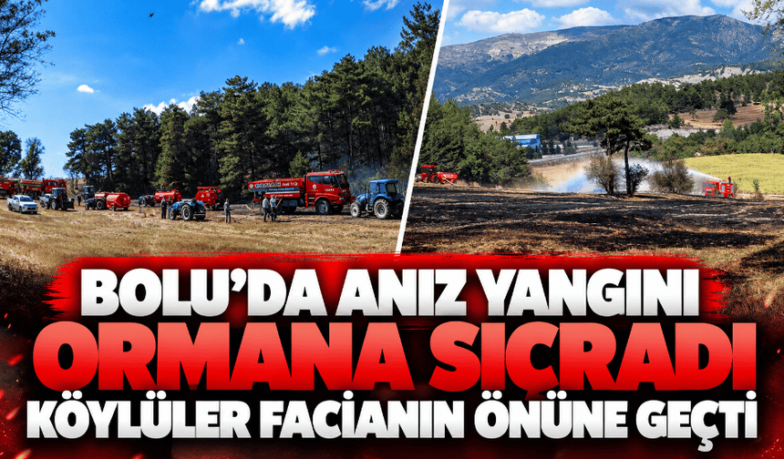 Anız yangını ormana sıçradı, köylüler facianın önüne geçti