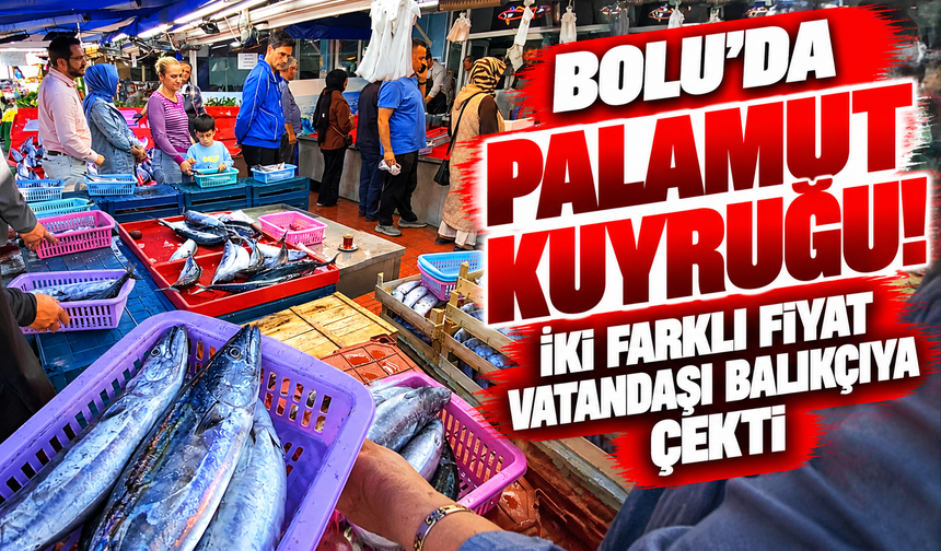 Bolu’da Palamut Kuyruğu! İki Farklı Fiyat Vatandaşı Balıkçıya Çekti