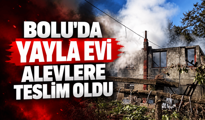 Bolu’da yayla evinde yangın