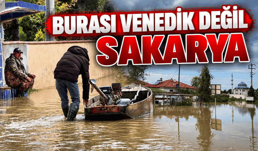 Burası Venedik değil Sakarya