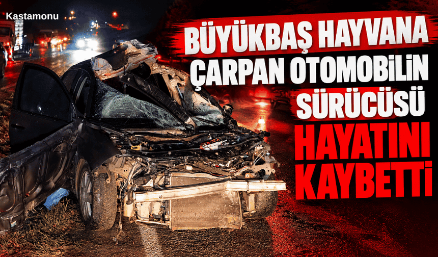 Büyükbaş hayvana çarpan otomobilin sürücüsü hayatını kaybetti