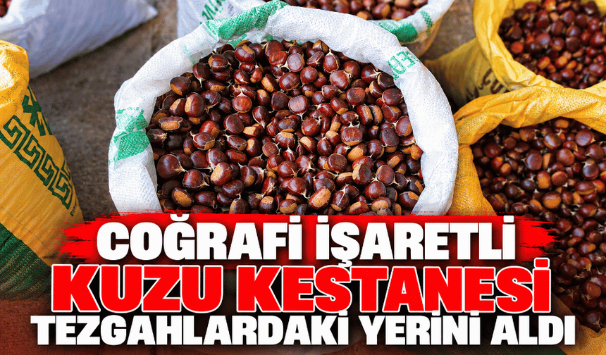 Coğrafi işaretli kuzu kestanesi tezgahlardaki yerini aldı