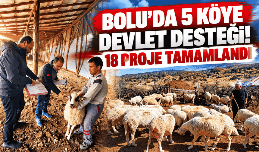 Devletten köylülere yüzde 20 hibe desteği!