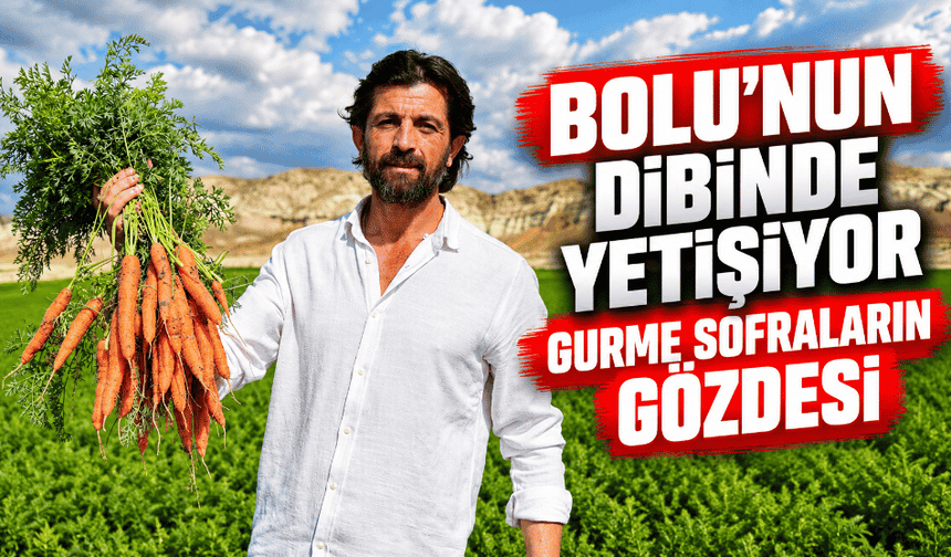 En minik hali tarladan sofraya uzanıyor: Gurme sofraların gözdesi
