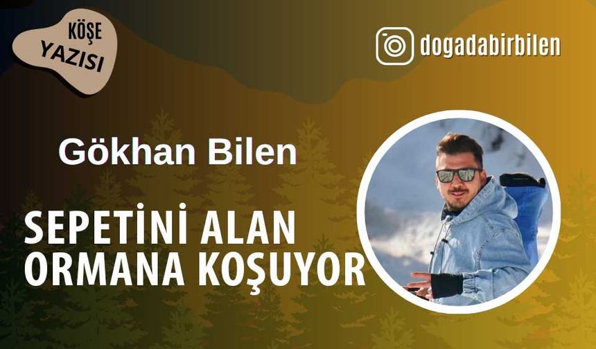 Sepetini alan ormana koşuyor