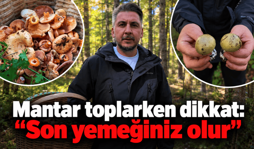 Mantar toplarken dikkat: "Son yemeğiniz olur"