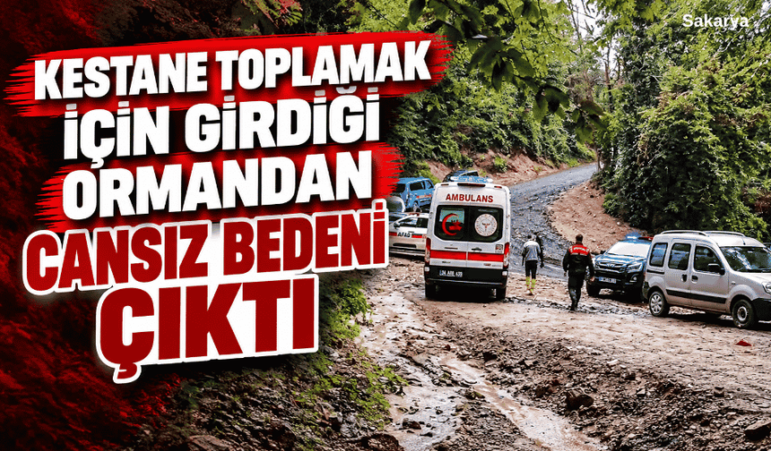 Kestane toplamak için girdiği ormandan cansız bedeni çıktı