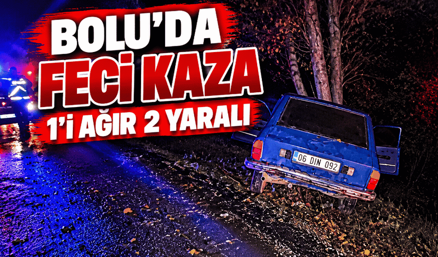 Kontrolden çıkan araç ağaca çarptı: 1’i ağır 2 yaralı