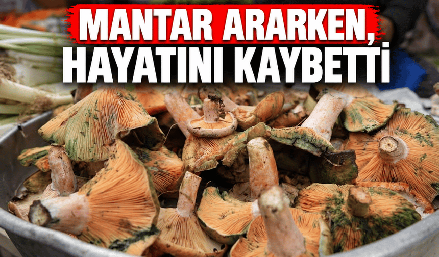 Mantar ararken hayatını kaybetti