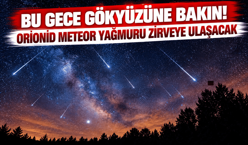 Bu Gece Gökyüzüne Bakın! Orionid Meteor Yağmuru Zirveye Ulaşacak