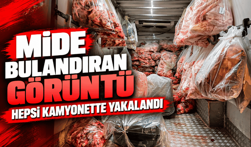 Mide bulandıran görüntü 2 ton 809 kilo et ve sakatat yakalandı