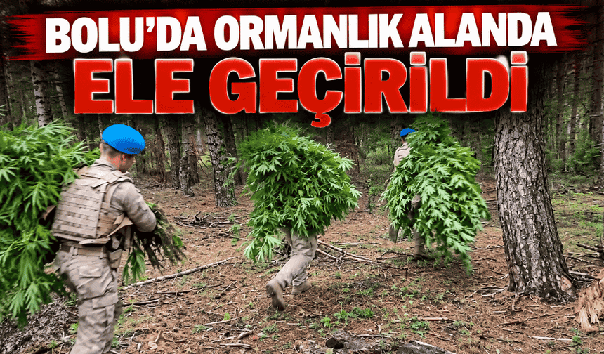 Ormanlık alanda ele geçirildi