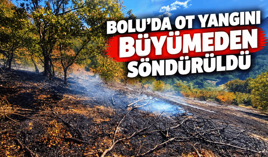 Ot yangını büyümeden söndürüldü