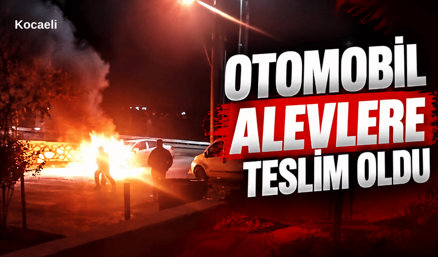 Otomobil alevlere teslim oldu