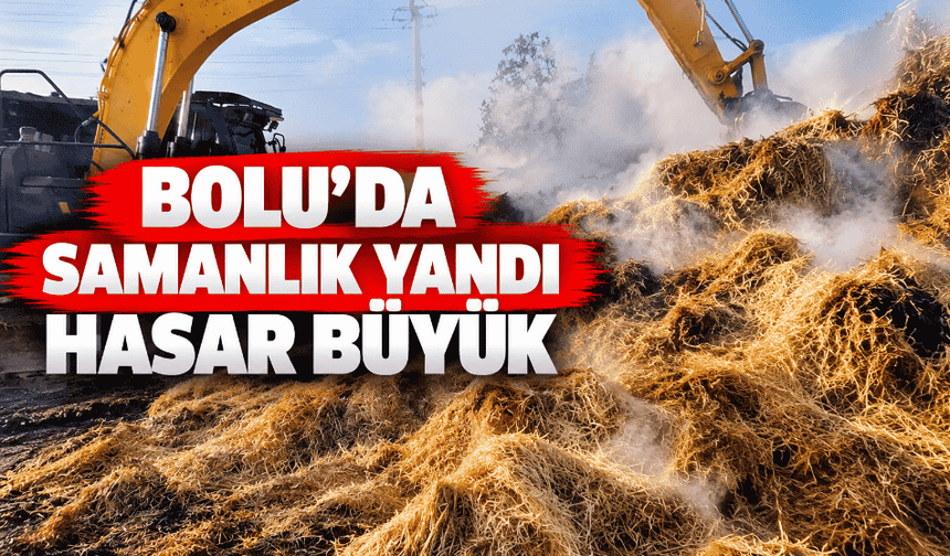 Samanlık yangını söndürüldü