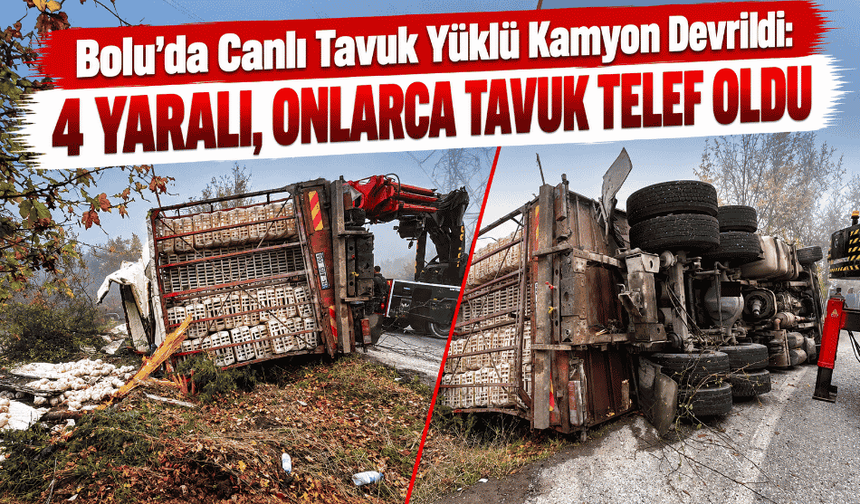 Bolu’da Canlı Tavuk Yüklü Kamyon Devrildi: 4 Yaralı, Onlarca Tavuk Telef Oldu