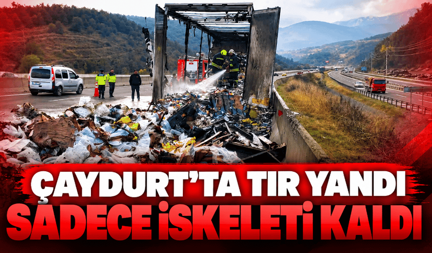 TEM Otoyolu'nda yangın tırın sadece iskeleti kaldı