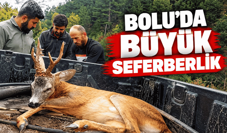 Yolda bulduğu yaralı ceylanı kurtarmak için seferber oldu