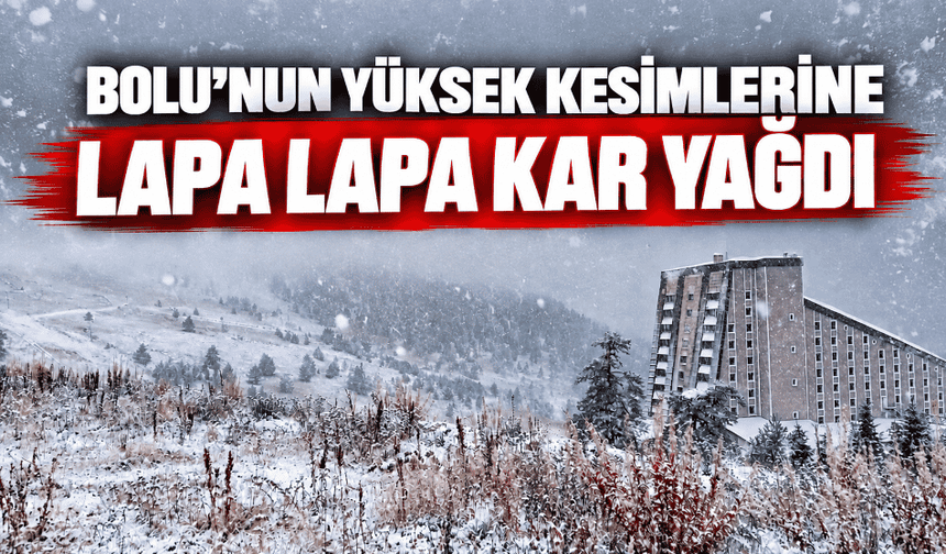 Yüksek kesimlere lapa lapa kar yağdı