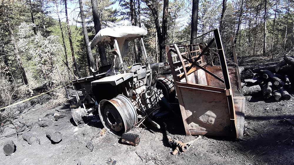 Bolu'daki yangınlarda 150 hektar orman zarar gördü