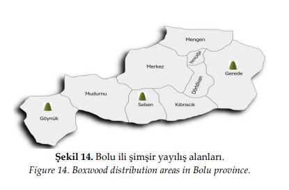Şimşir Bolu dağılımı Sarı, Ö., Çelikel, F. G.,  Yaşar, H. (2023). Türkiye'nin doğal şimşir lokasyonları