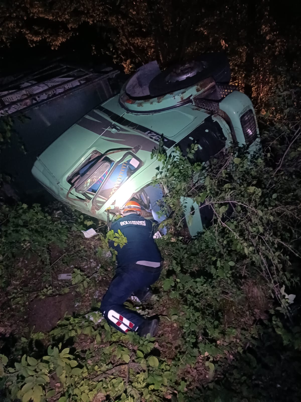 Bolu Canlı Tavuk Yüklü Tır Kaza (2)