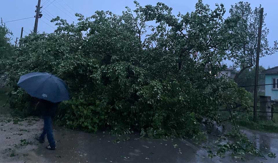 Şiddetli rüzgar hayatı felç etti - Köroğlu Gazetesi | Bolu son dakika  haberler