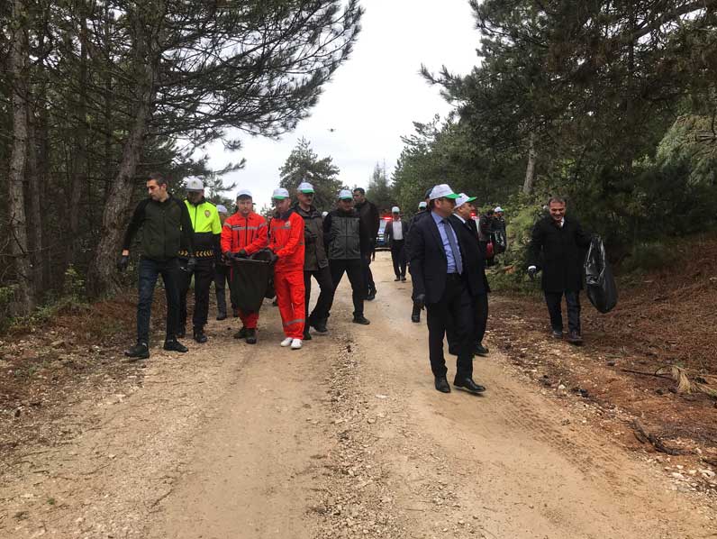 Orman Benim, Bolu (7)