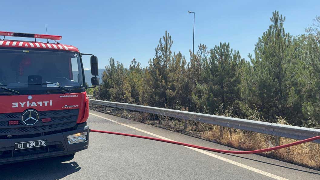 Eğlence Uğruna, Ormanı Yakacaklardı (2)