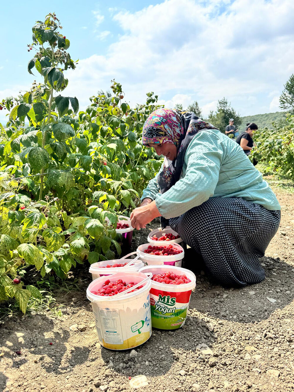 Kurduğu Meyve Bahçesiyle Hem Kendi Hem Mahalleli Iş Sahibi Oldu (1)