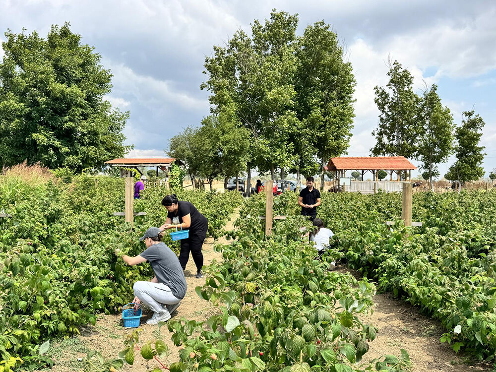 Kurduğu Meyve Bahçesiyle Hem Kendi Hem Mahalleli Iş Sahibi Oldu (4)