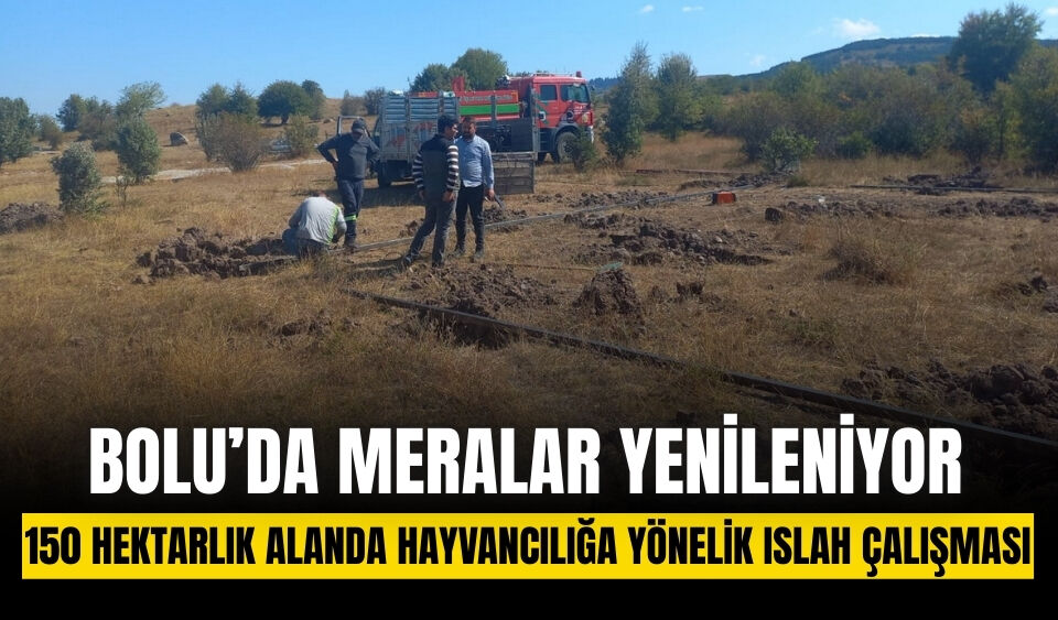 Bolu’da 150 hektarlık merada ıslah çalışması başladı