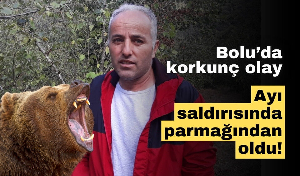 Bolu'da ayı saldırısına uğrayan çiftçi, parmağından oldu