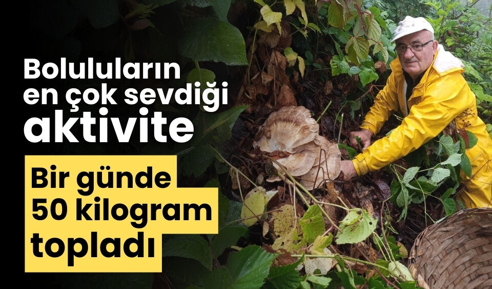 Boluluların en çok sevdiği aktivite bir günde 50 kilogram topladı
