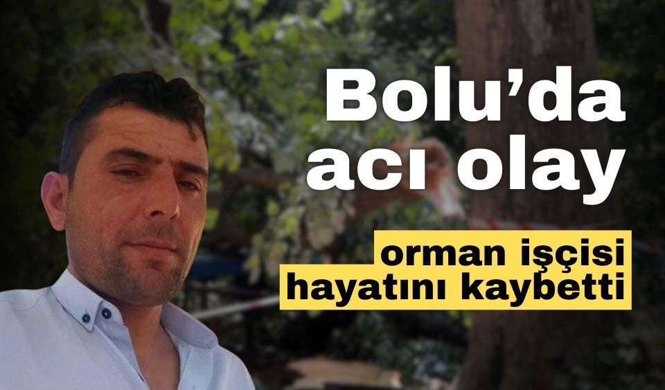 Bolu’da, ağacın altında kalan orman işçisi, hayatını kaybetti