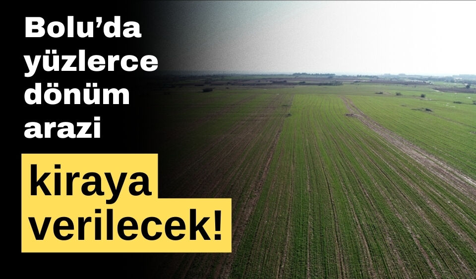 Bolu'da yüzlerce dönüm arazi kiraya verilecek