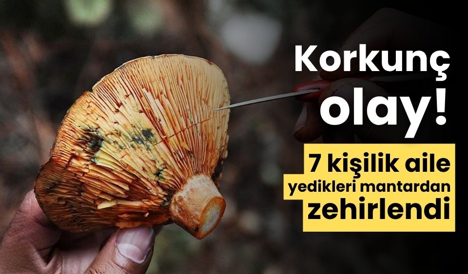 Aynı aileden 7 kişi yedikleri mantardan zehirlendi