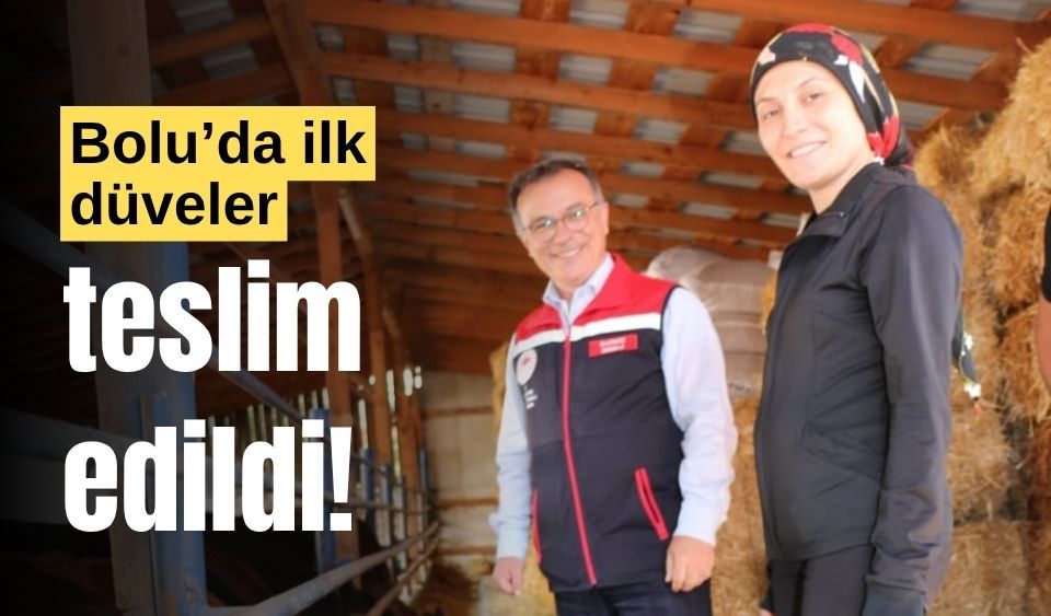Bolu’da, ilk düveler, kadın çiftçiye teslim edildi!