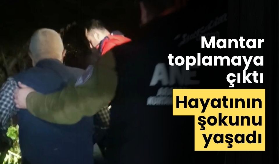 Mantar toplamaya çıktı hayatının şokunu yaşadı