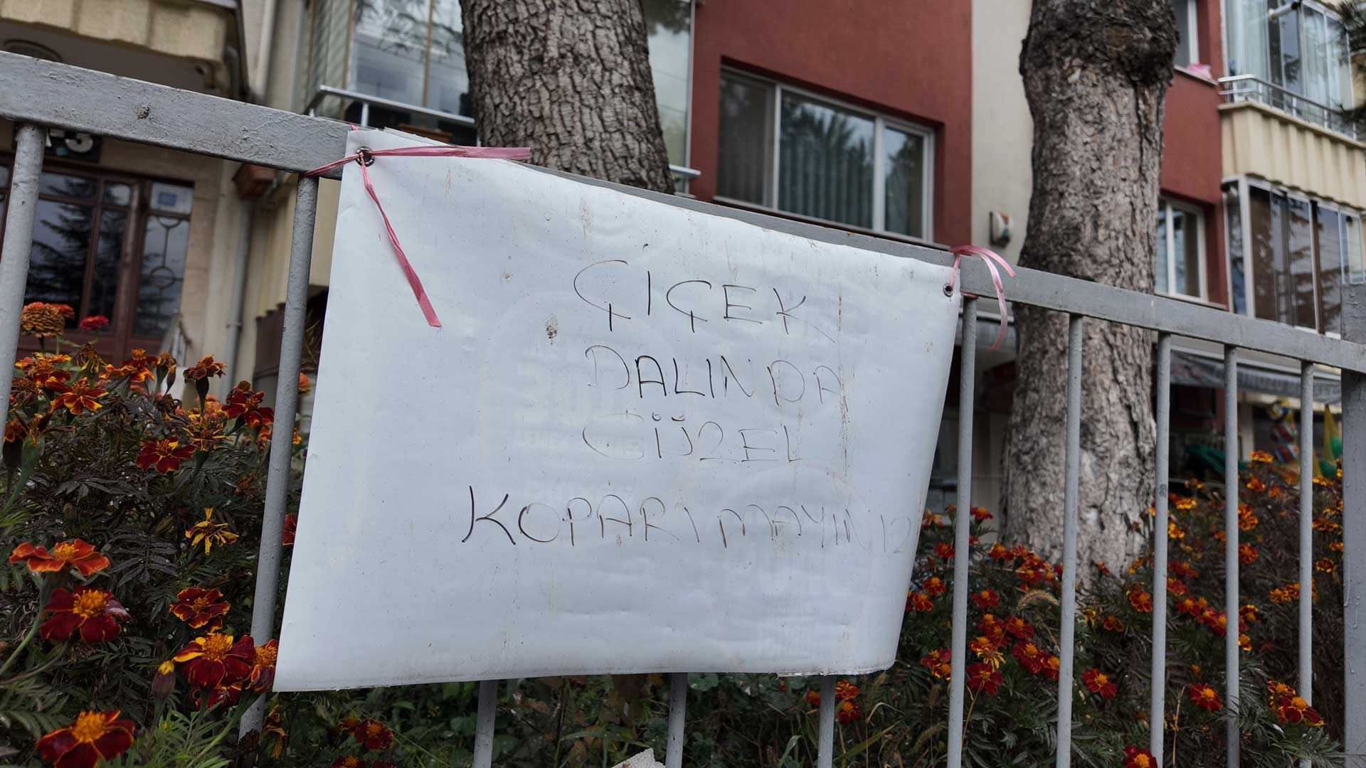 Bolu Çiçekleri Koparılan Esnaf (1)