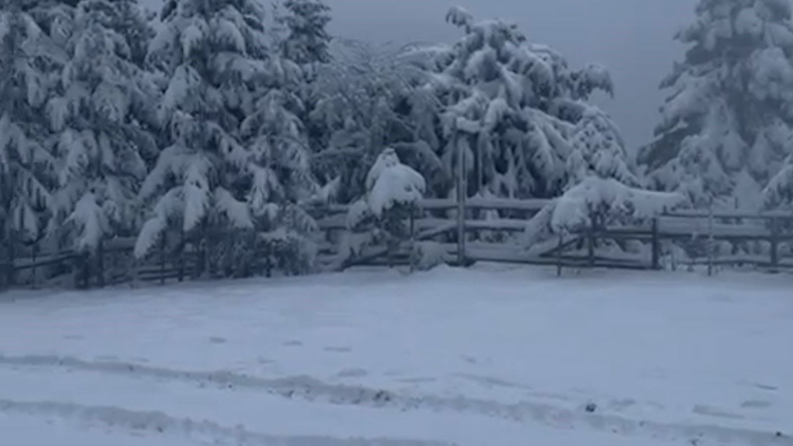 Bolu Yapay Karlama (3)