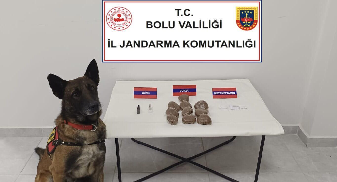 Jandarma Bolu Kaçakçılık-1