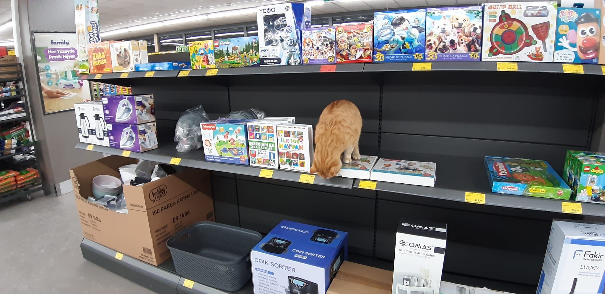 Et Dolaplarının Üzerinde Gezdi (2)