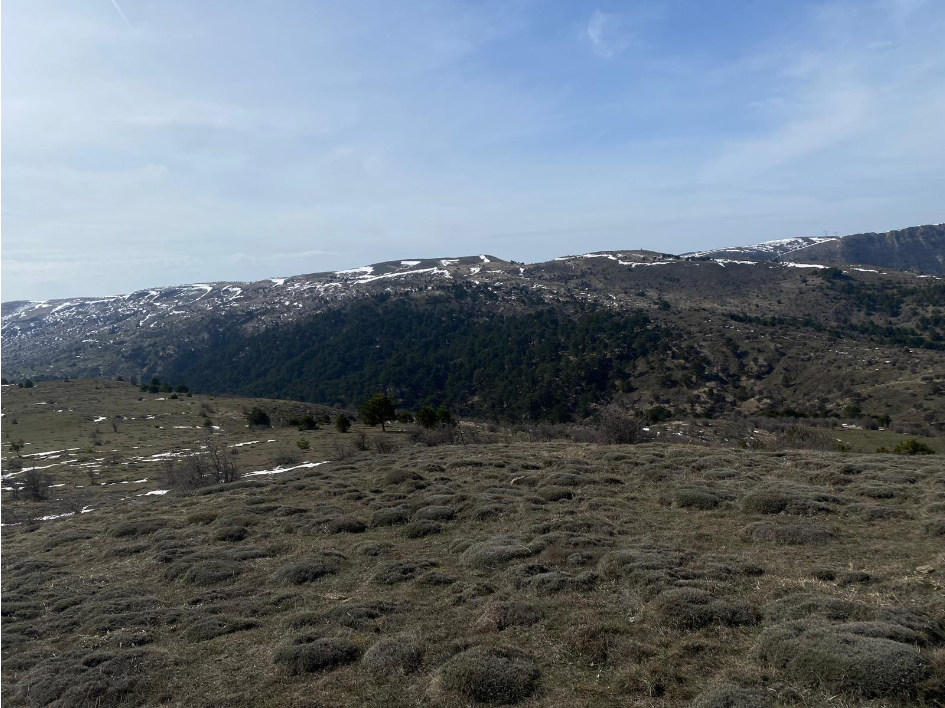 Bolu Rüzgar Enerjisi (3)